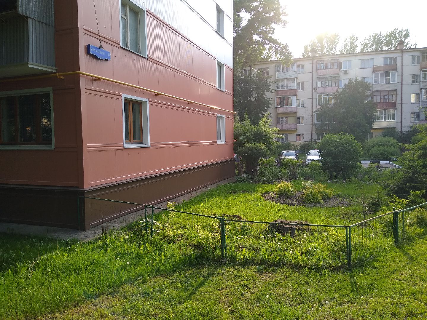 Раменское, благоустройство, палисадник, цветущий пень