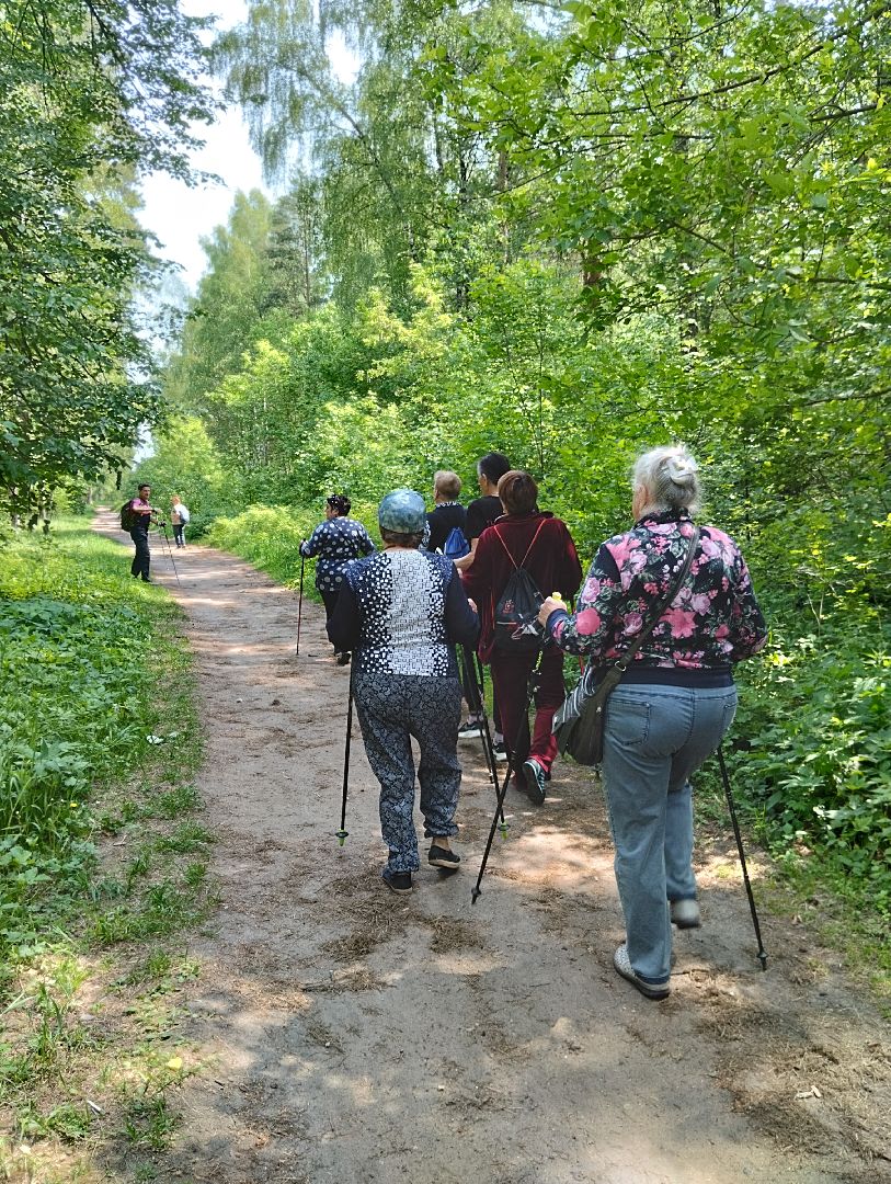 Скандинавская ходьба, спорт, Глуховский парк, Ногинск, Богородский городской округ