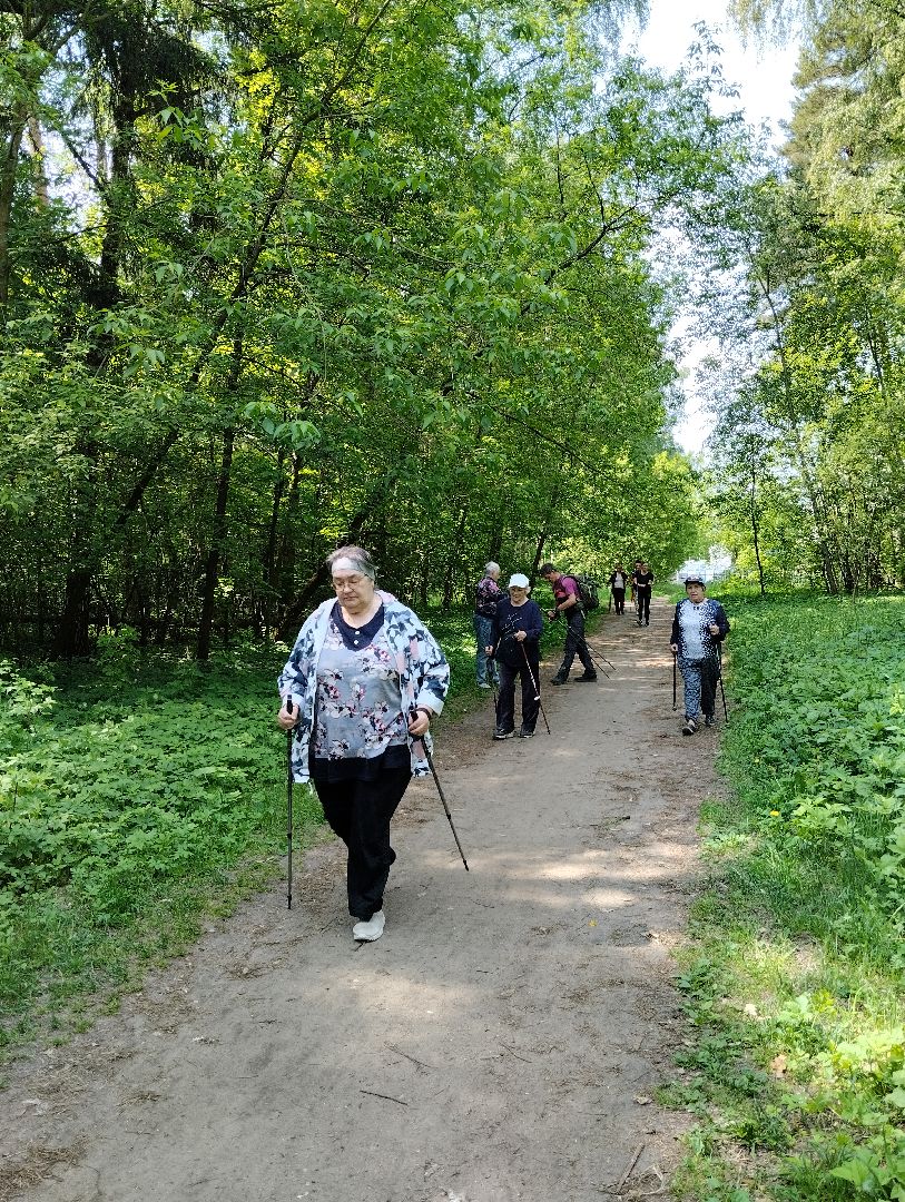 Скандинавская ходьба, спорт, Глуховский парк, Ногинск, Богородский городской округ