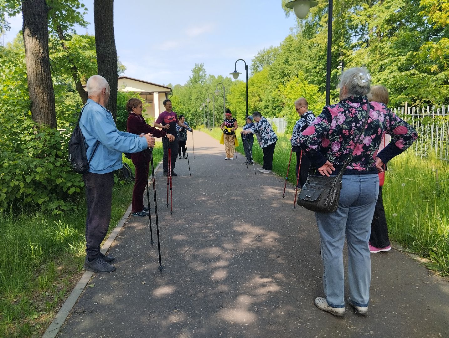 Скандинавская ходьба, спорт, Глуховский парк, Ногинск, Богородский городской округ