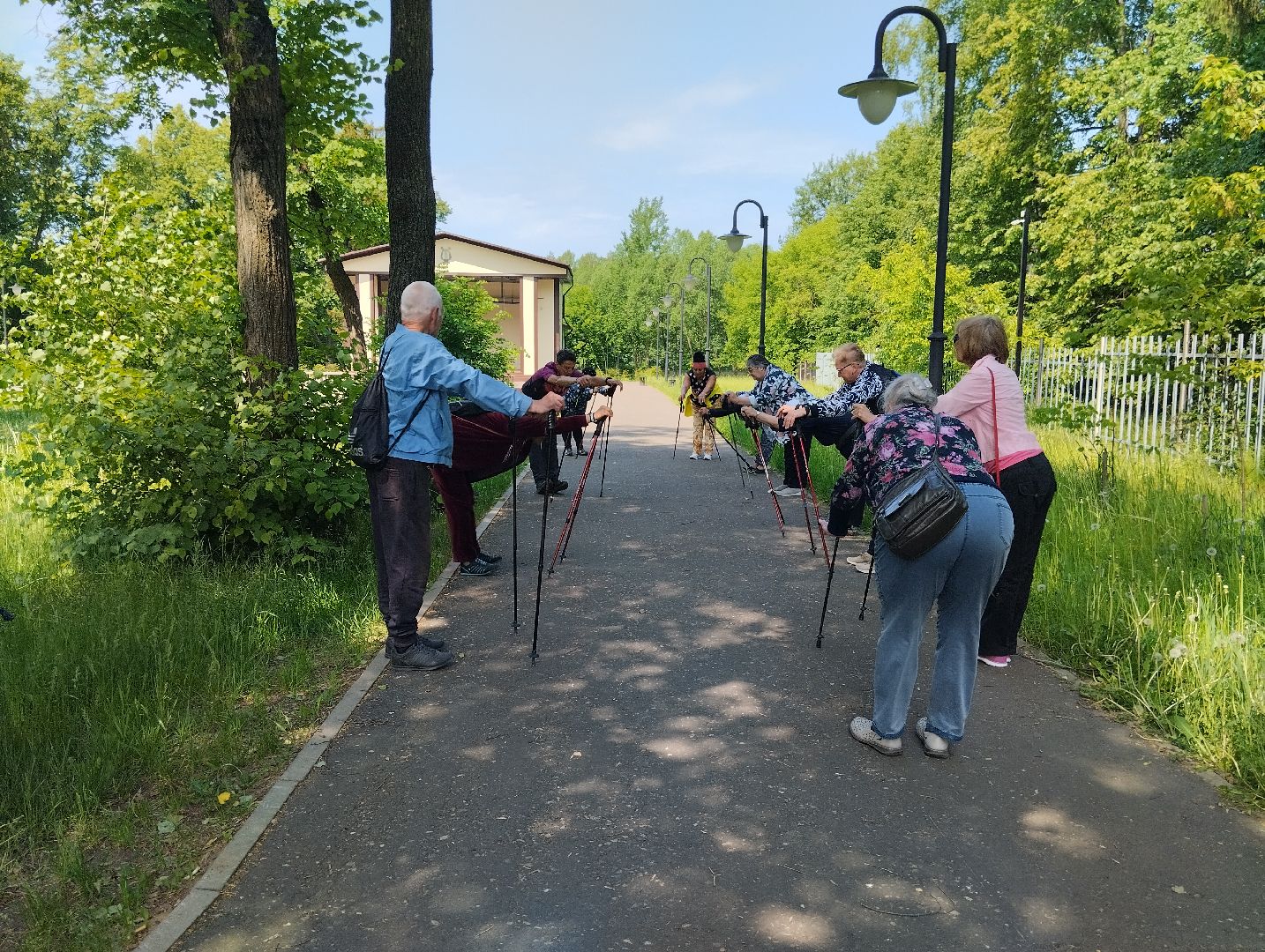 Скандинавская ходьба, спорт, Глуховский парк, Ногинск, Богородский городской округ