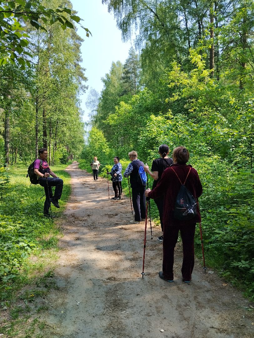 Скандинавская ходьба, спорт, Глуховский парк, Ногинск, Богородский городской округ
