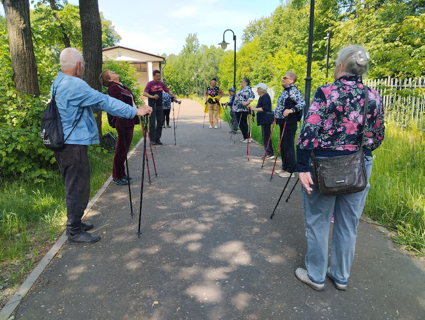 Скандинавская ходьба, спорт, Глуховский парк, Ногинск, Богородский городской округ