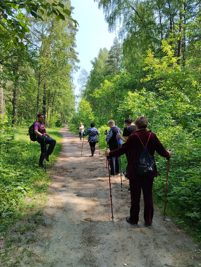 Скандинавская ходьба, спорт, Глуховский парк, Ногинск, Богородский городской округ