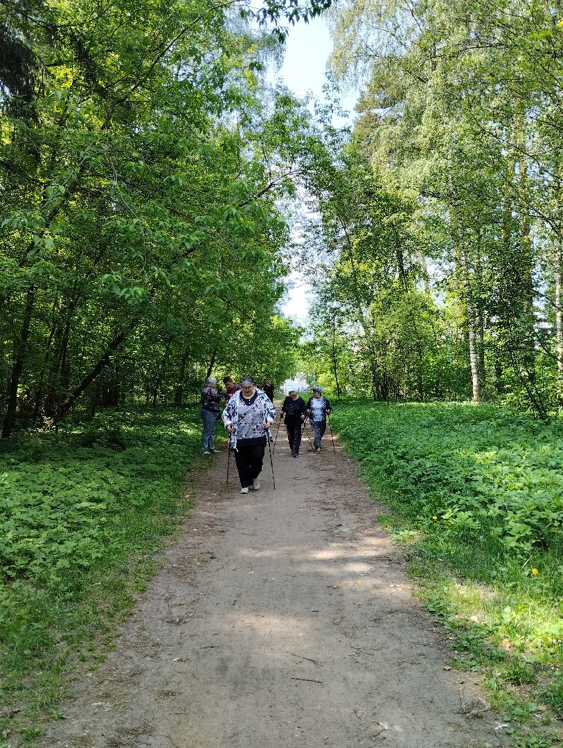 Скандинавская ходьба, спорт, Глуховский парк, Ногинск, Богородский городской округ