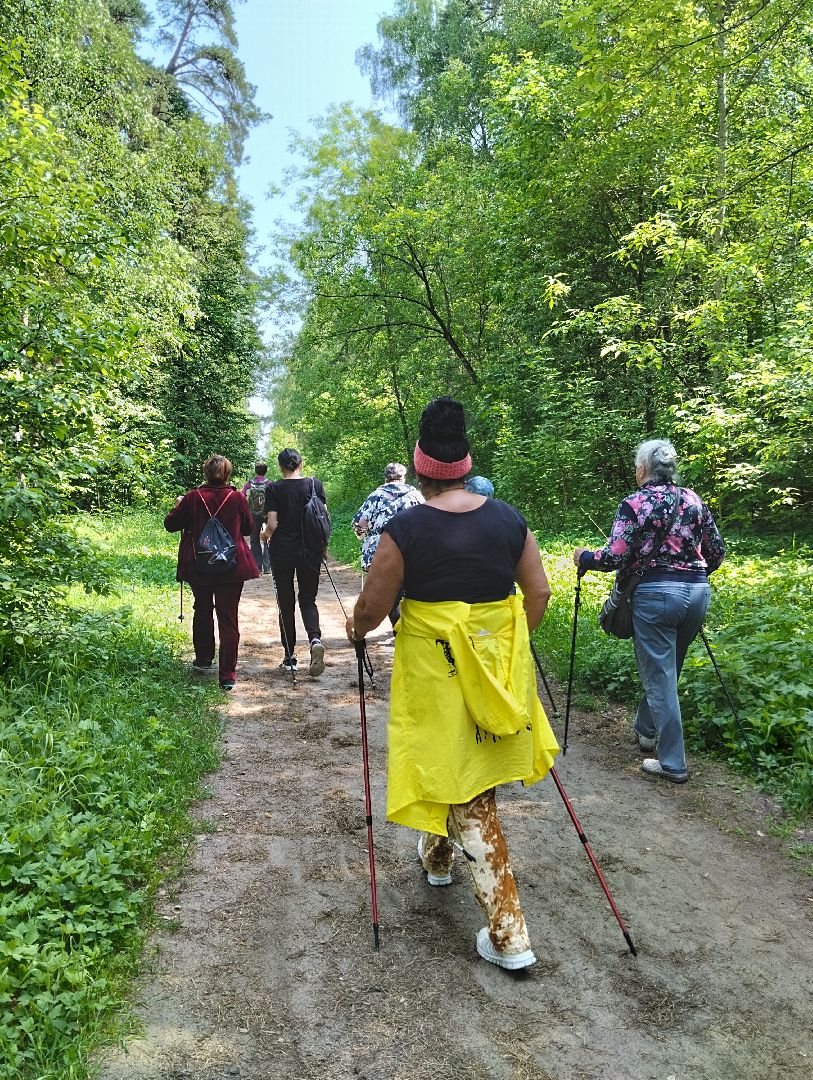 Скандинавская ходьба, спорт, Глуховский парк, Ногинск, Богородский городской округ