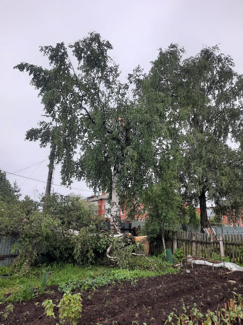 Шатура, ЧП, Ураган, Град, Поваленные деревья, Шатурторф, Рошаль