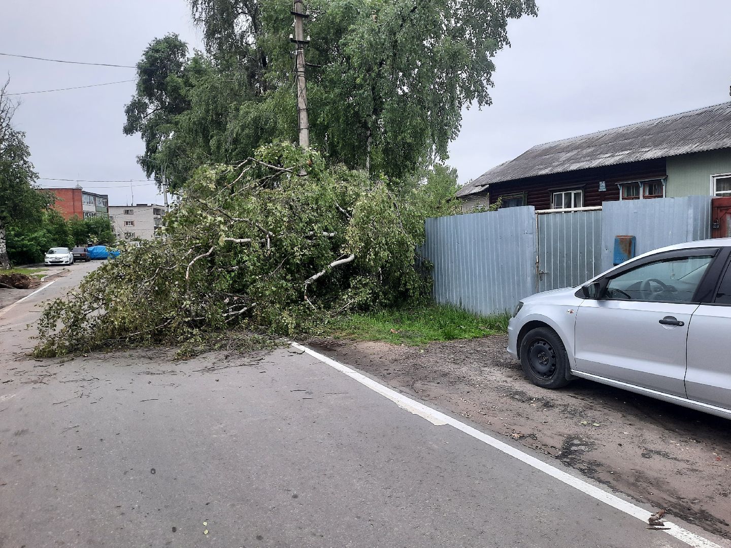Шатура, ЧП, Ураган, Град, Поваленные деревья, Шатурторф, Рошаль