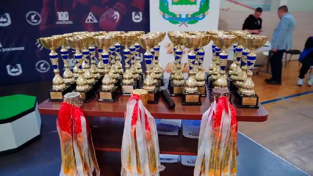 спорт, кикбоксинг, Александр Пересвет, Алексей Папин, чемпионат, первенство, Воронеж, Реутов, Чемпионат Центрального федерального округа