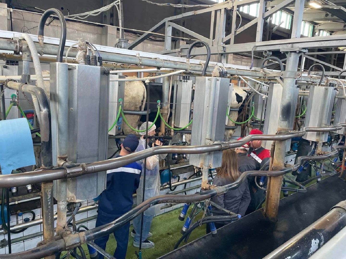 роботы, инновации,