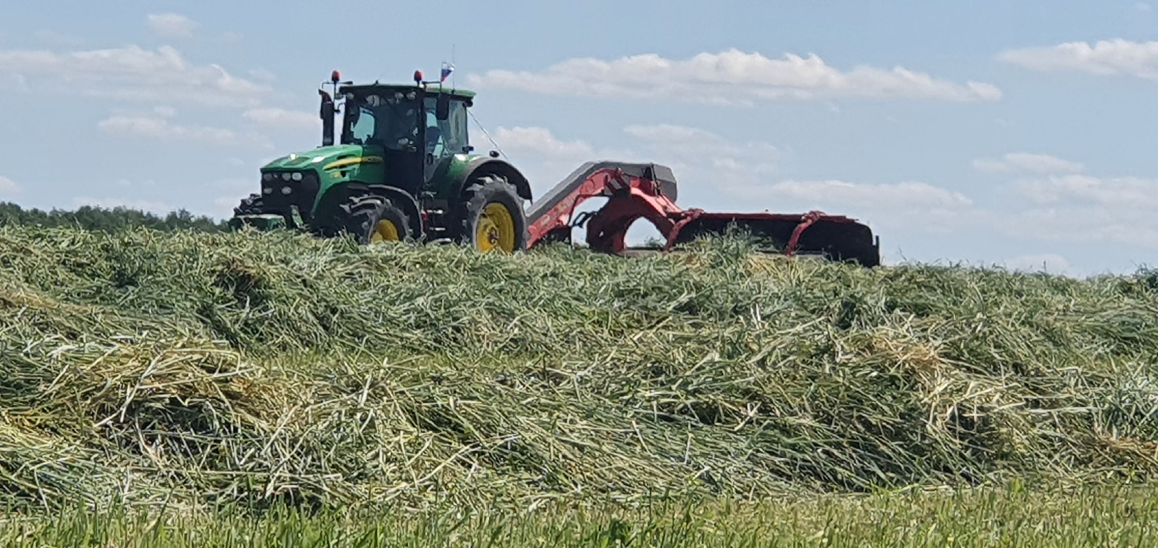Сельское хозяйство, Повадино, Домодедово