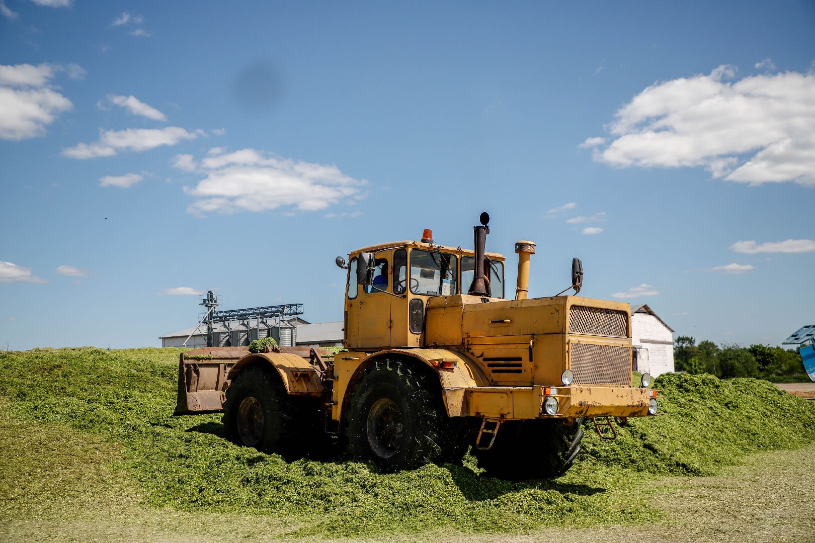 Сельское хозяйство, Повадино, Домодедово