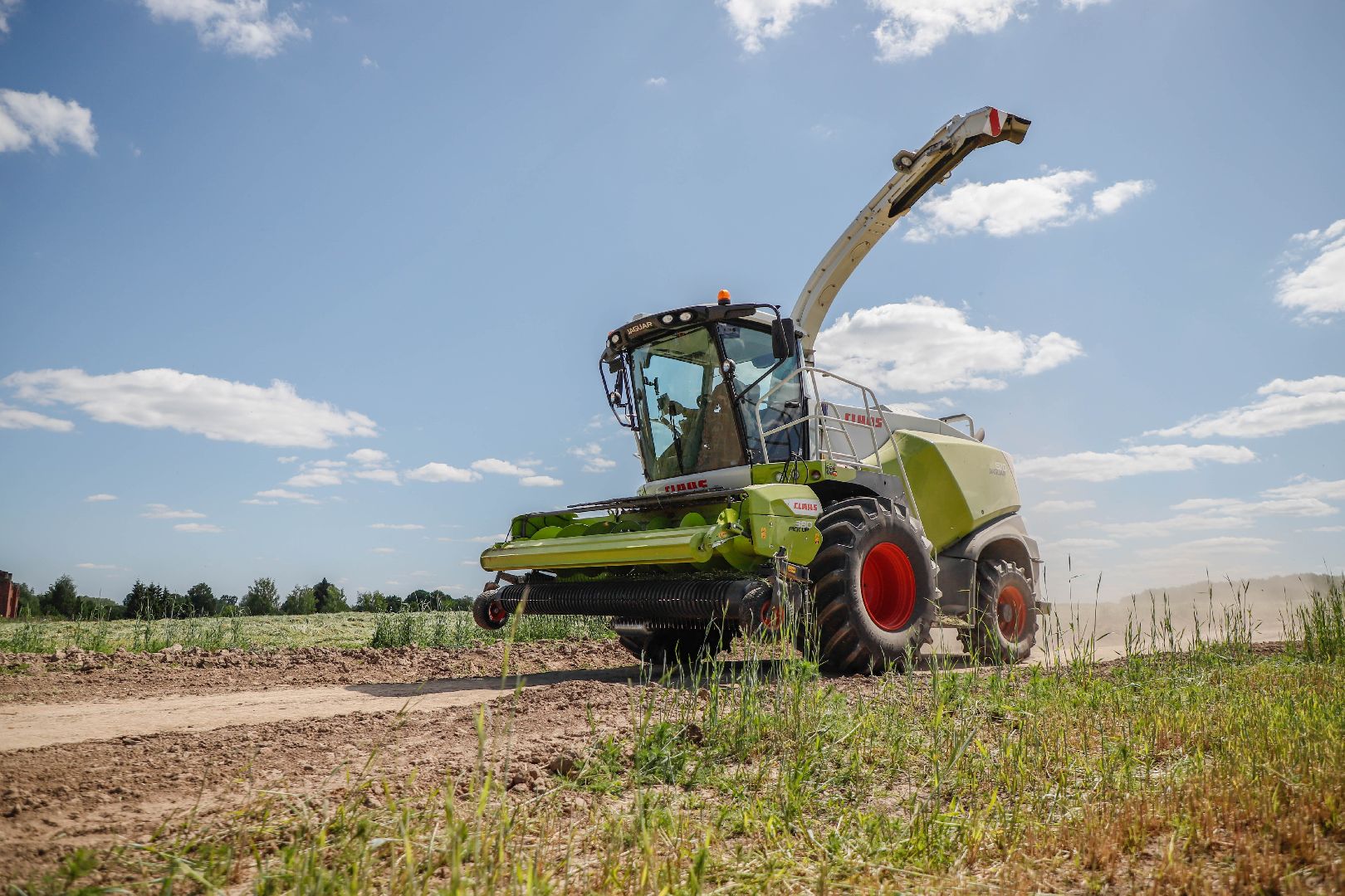 Сельское хозяйство, Повадино, Домодедово