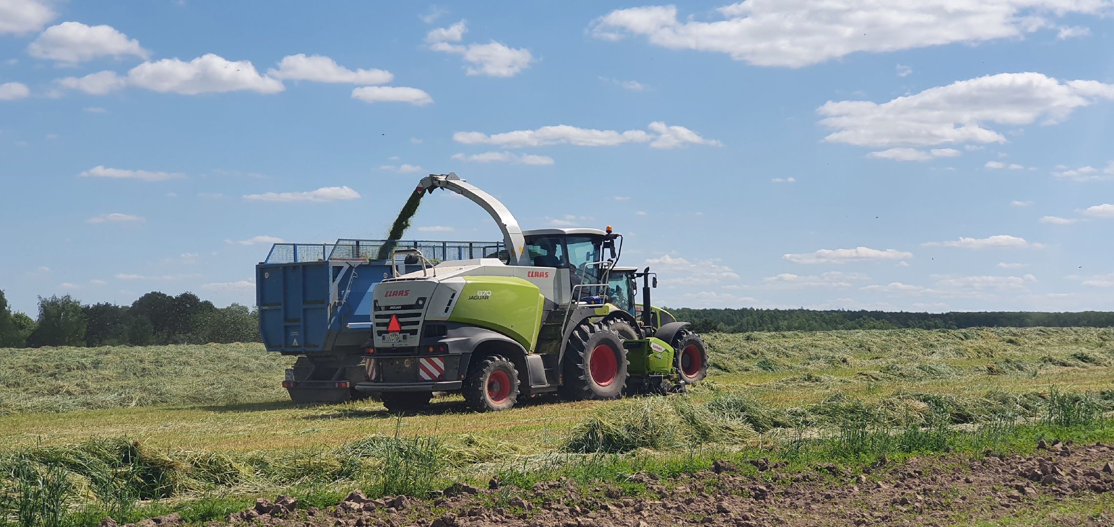Сельское хозяйство, Повадино, Домодедово
