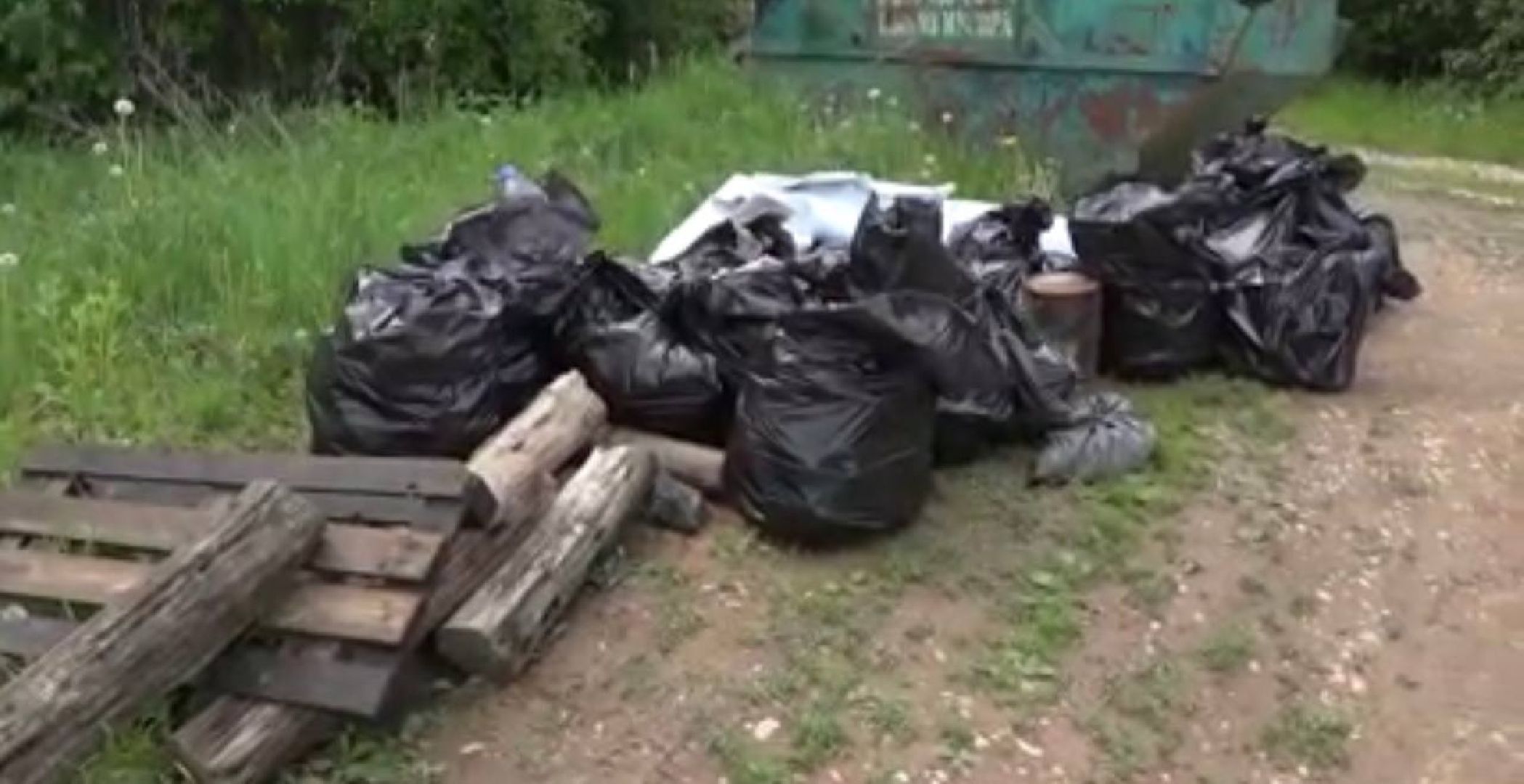 Солнечногорск, очистка, водоемы, субботник, дайверы