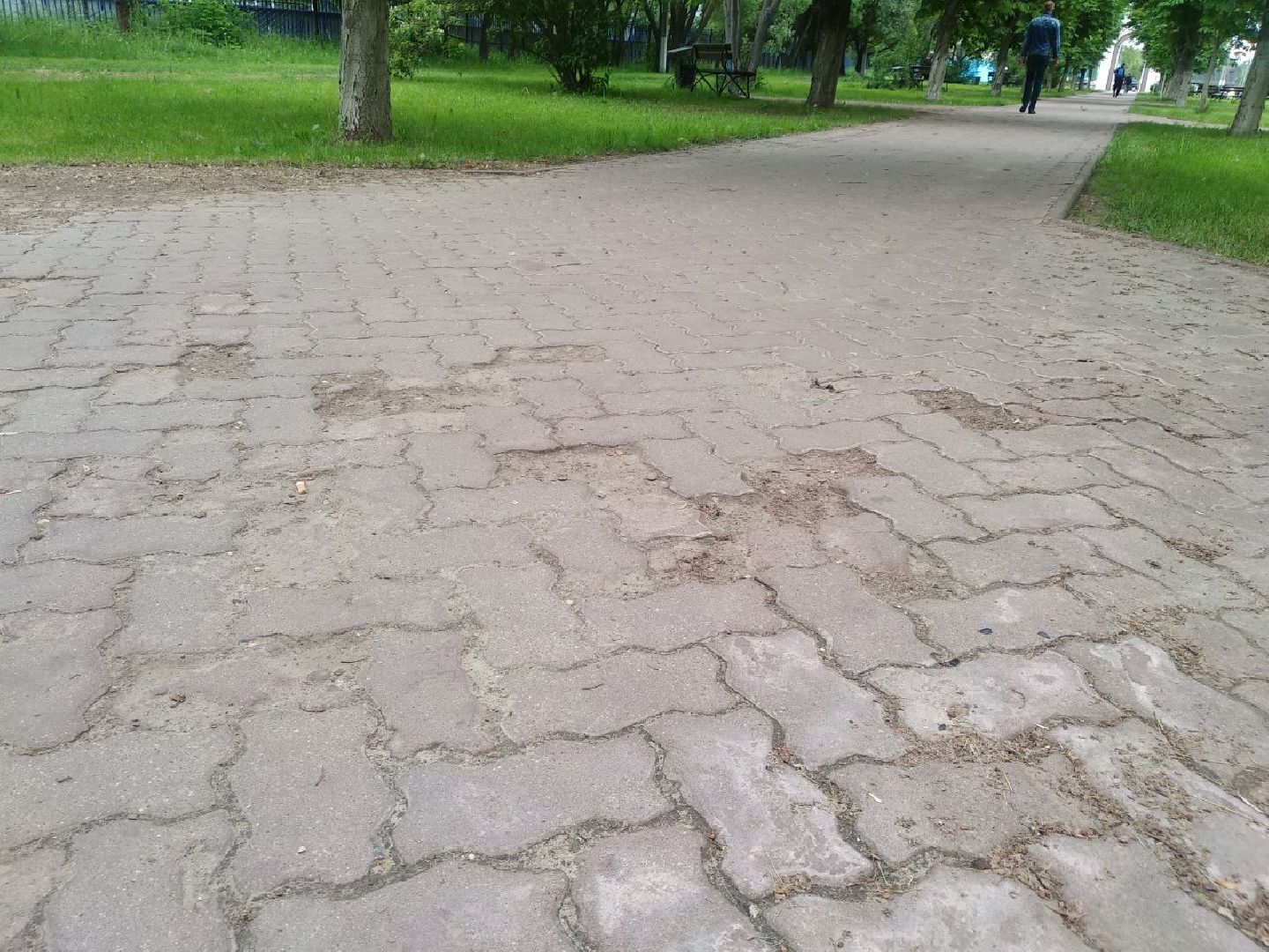 Дмитров, Аллея Славы, Мин благоустройства МО