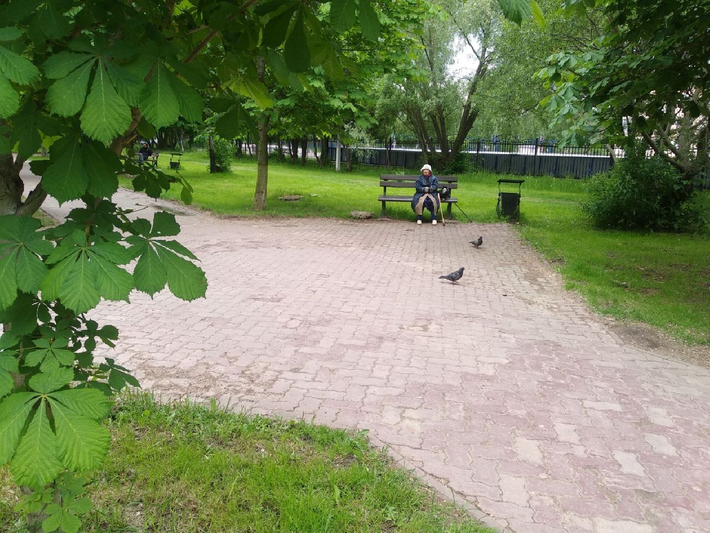 Дмитров, Аллея Славы, Мин благоустройства МО