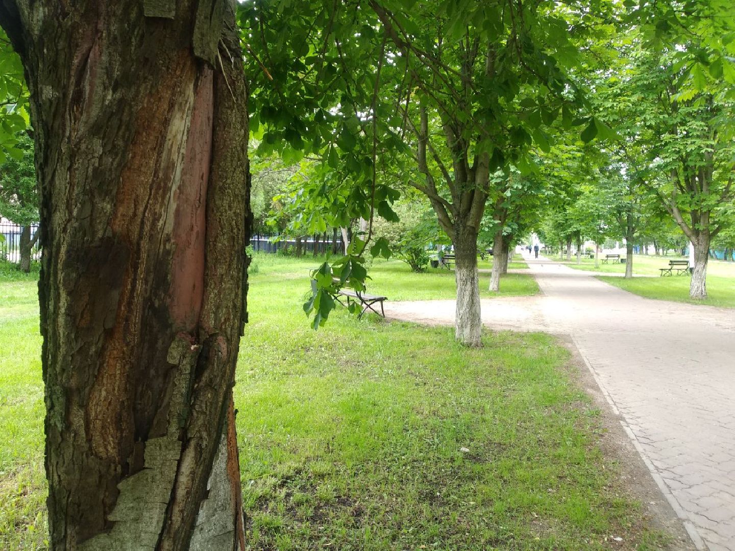 Дмитров, Аллея Славы, Мин благоустройства МО