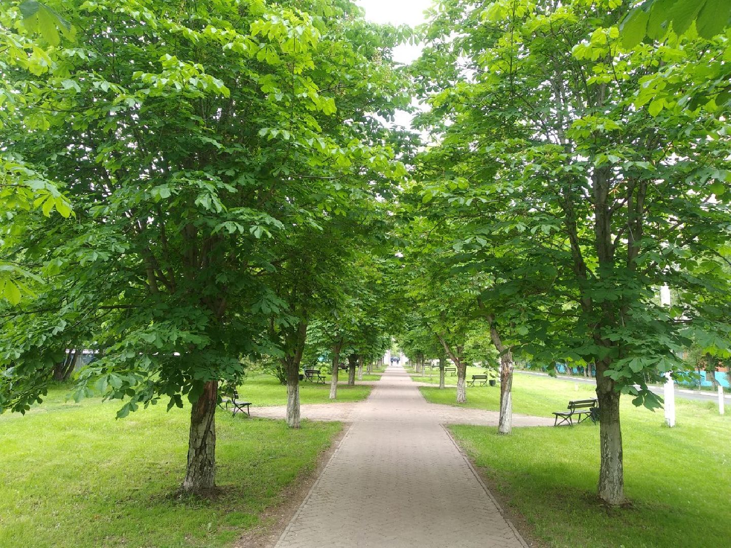 Дмитров, Аллея Славы, Мин благоустройства МО