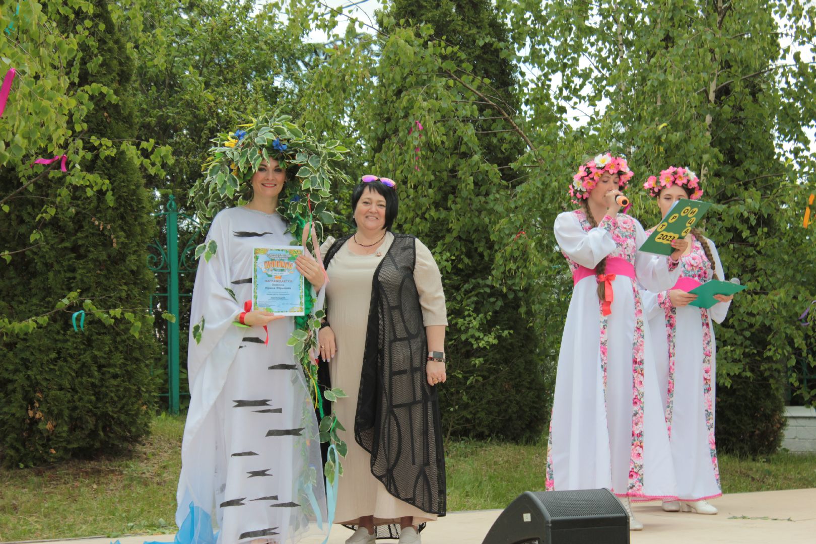 Ступино, день села, Лужники