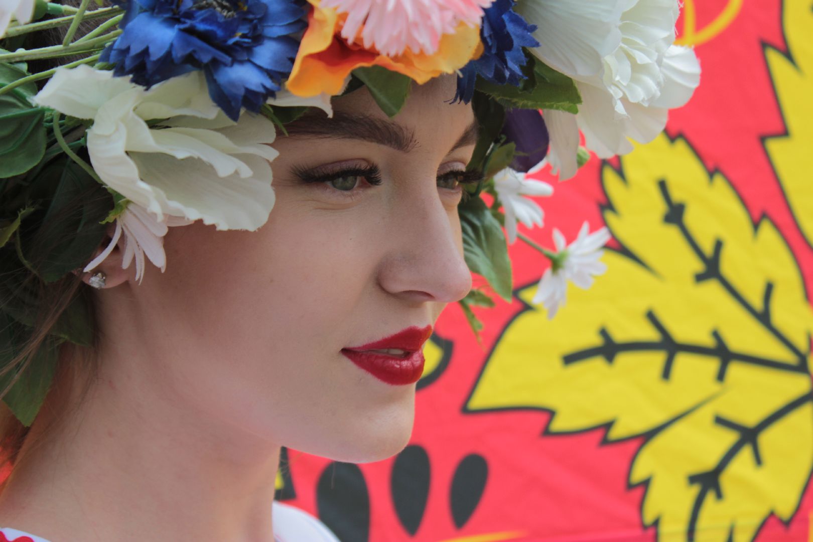 Ступино, день села, Лужники