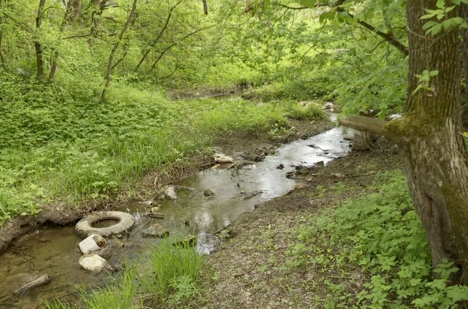 Клин, благоустройство, общество, общественные пространства