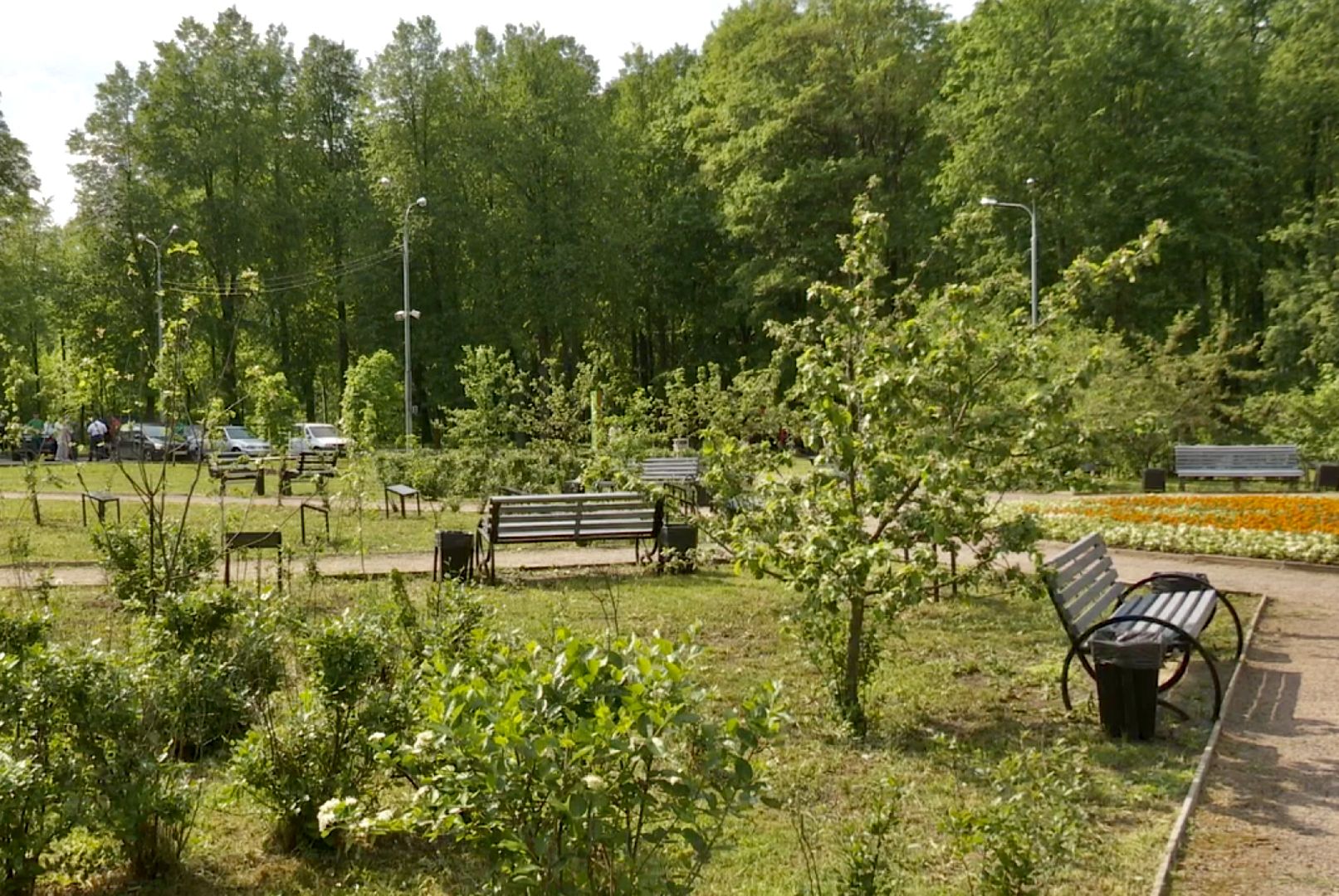 Клин, общество, предприниматели, благоустройство