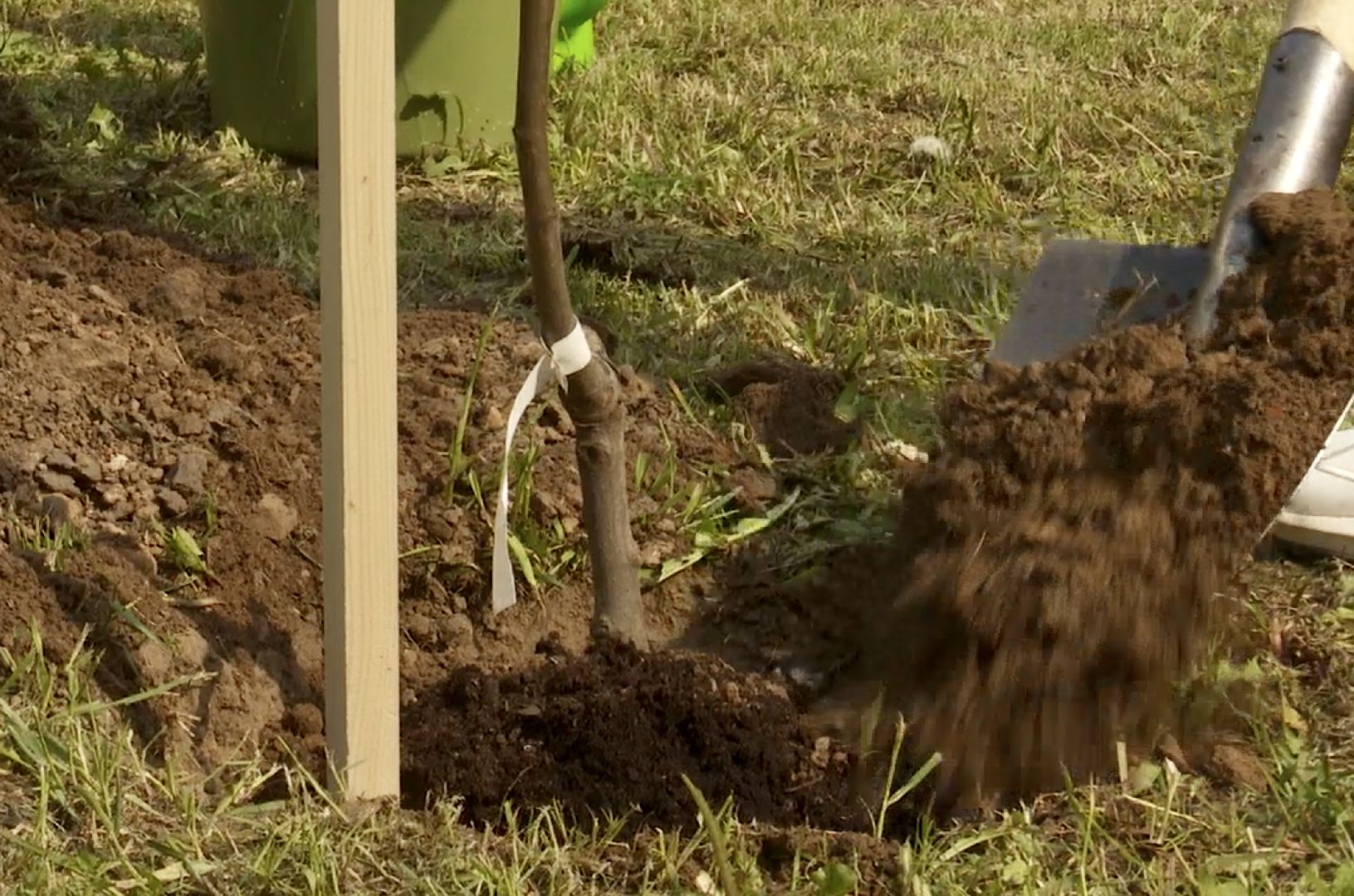 Клин, общество, предприниматели, благоустройство