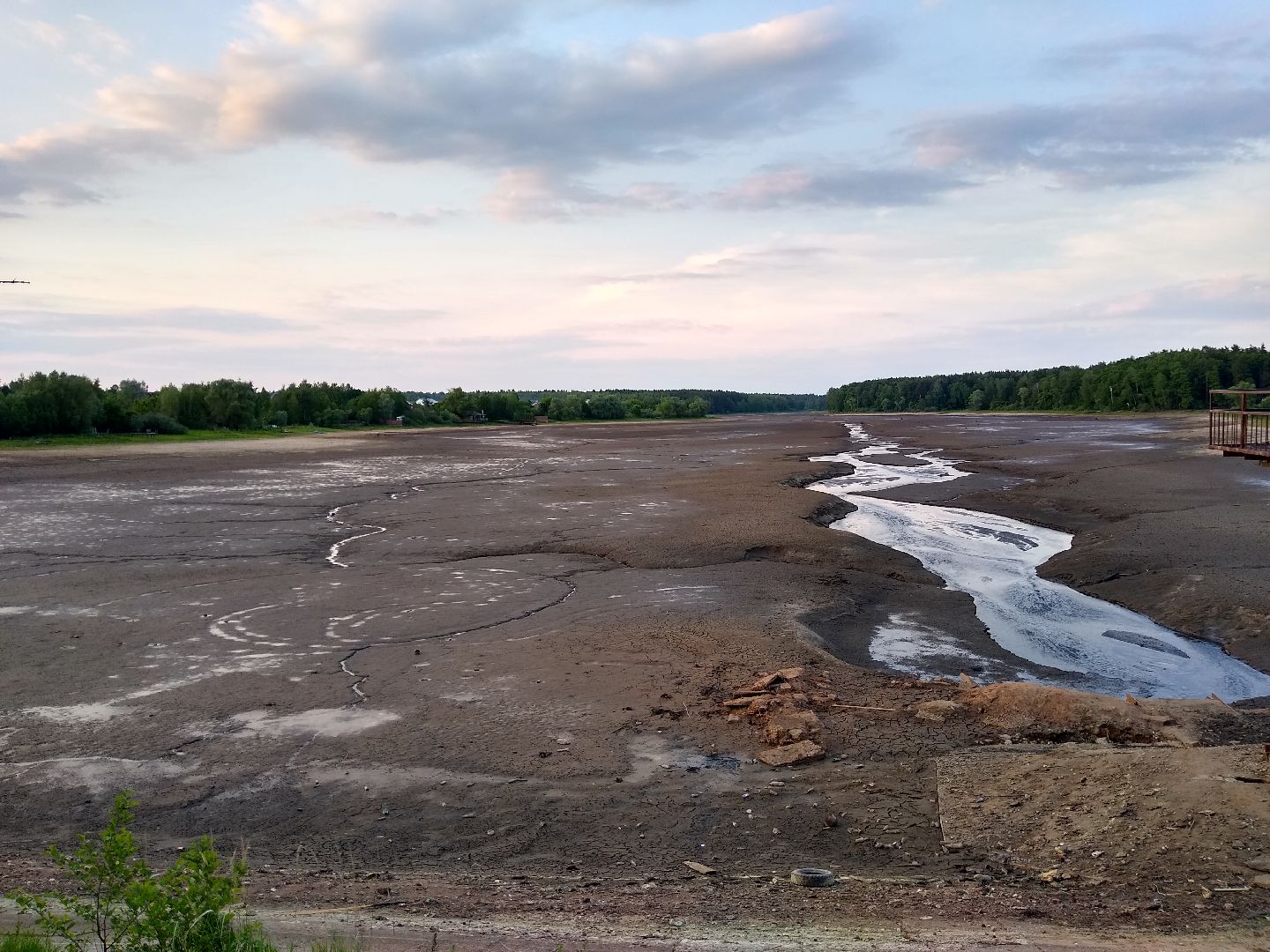 Раменское, экология, пруд в Поповке