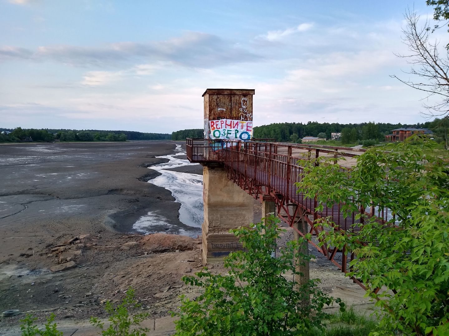 Раменское, экология, пруд в Поповке