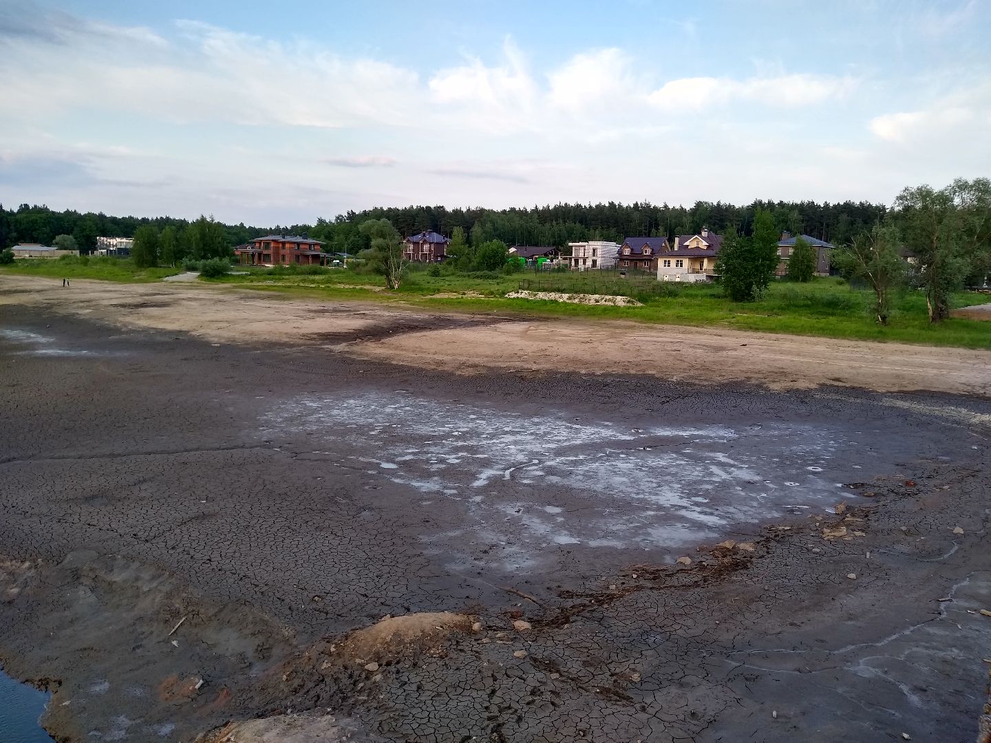 Раменское, экология, пруд в Поповке