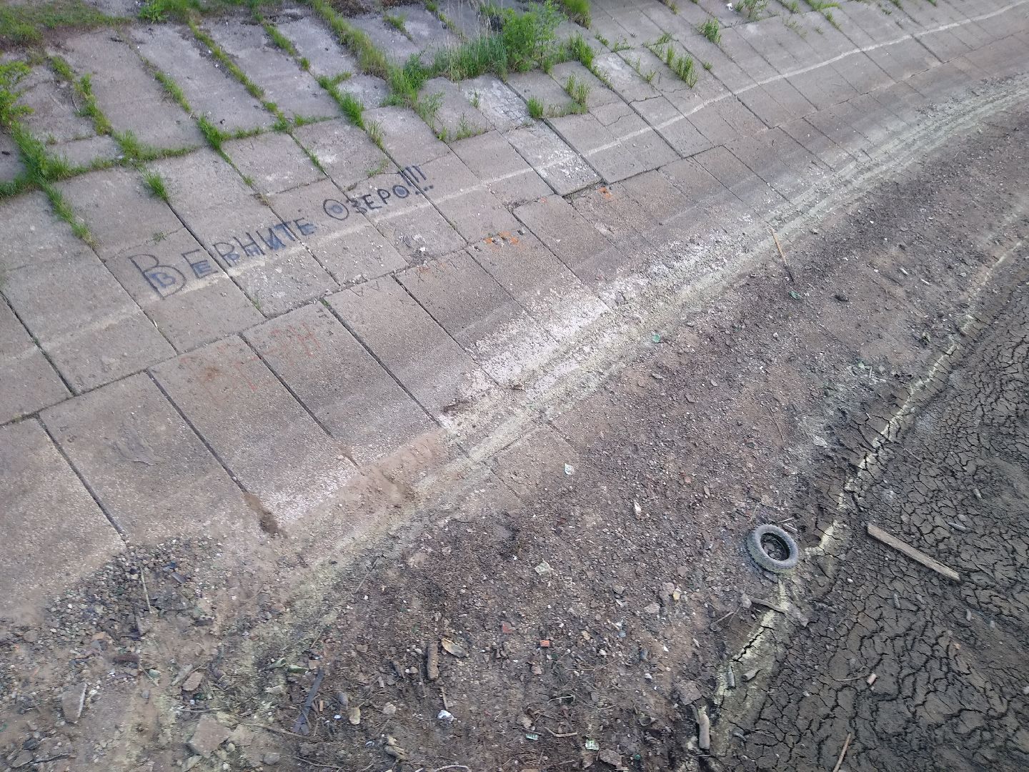 Раменское, экология, пруд в Поповке