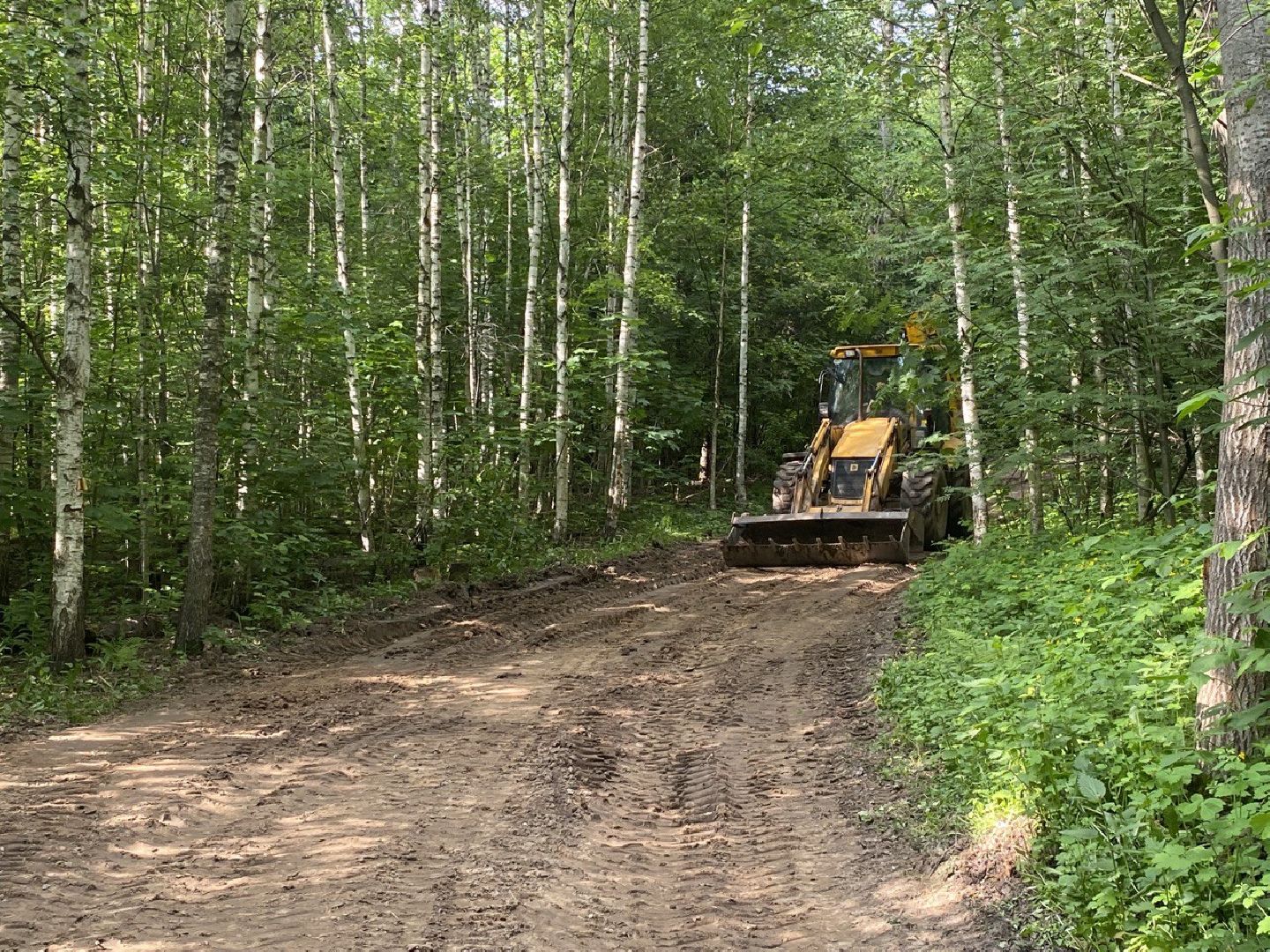 Химки, лесопарк, благоустройство, перемены