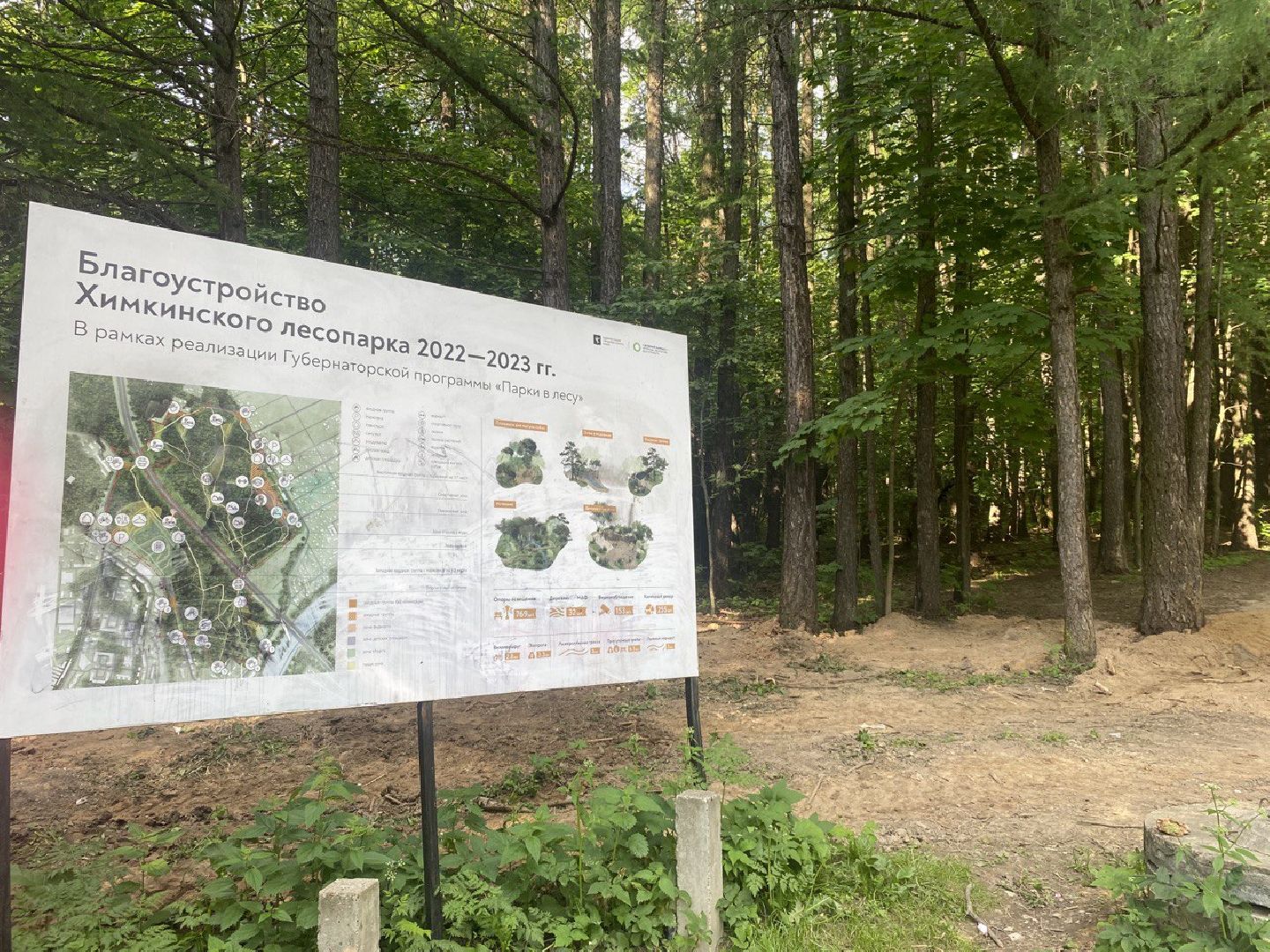 Химки, лесопарк, благоустройство, перемены