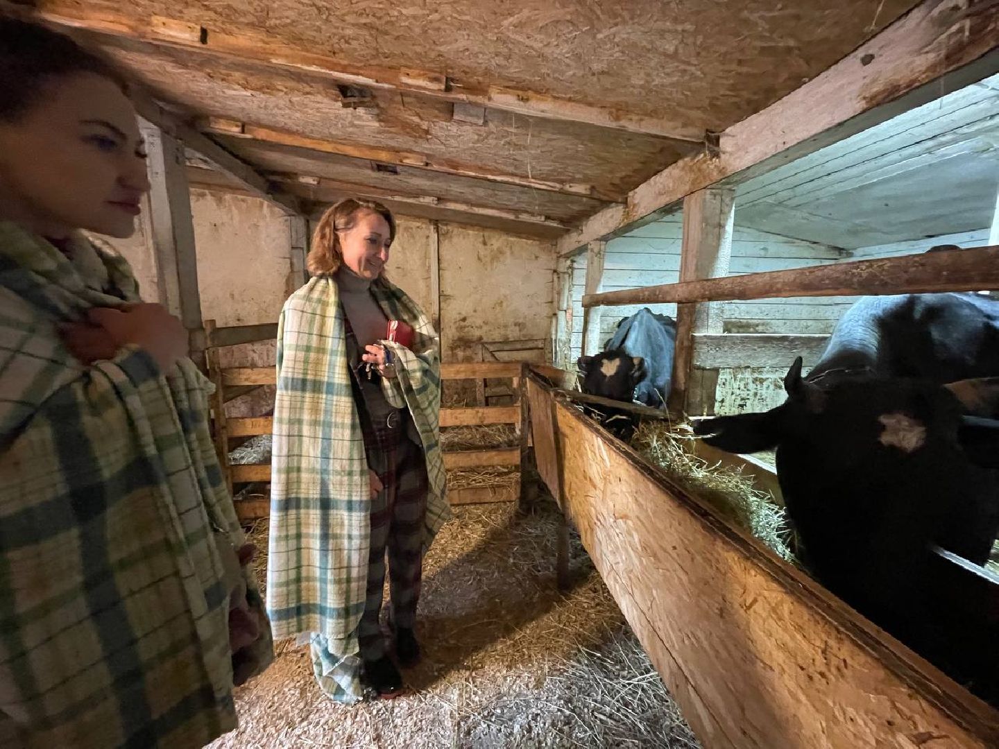 доброе дело, инновации,