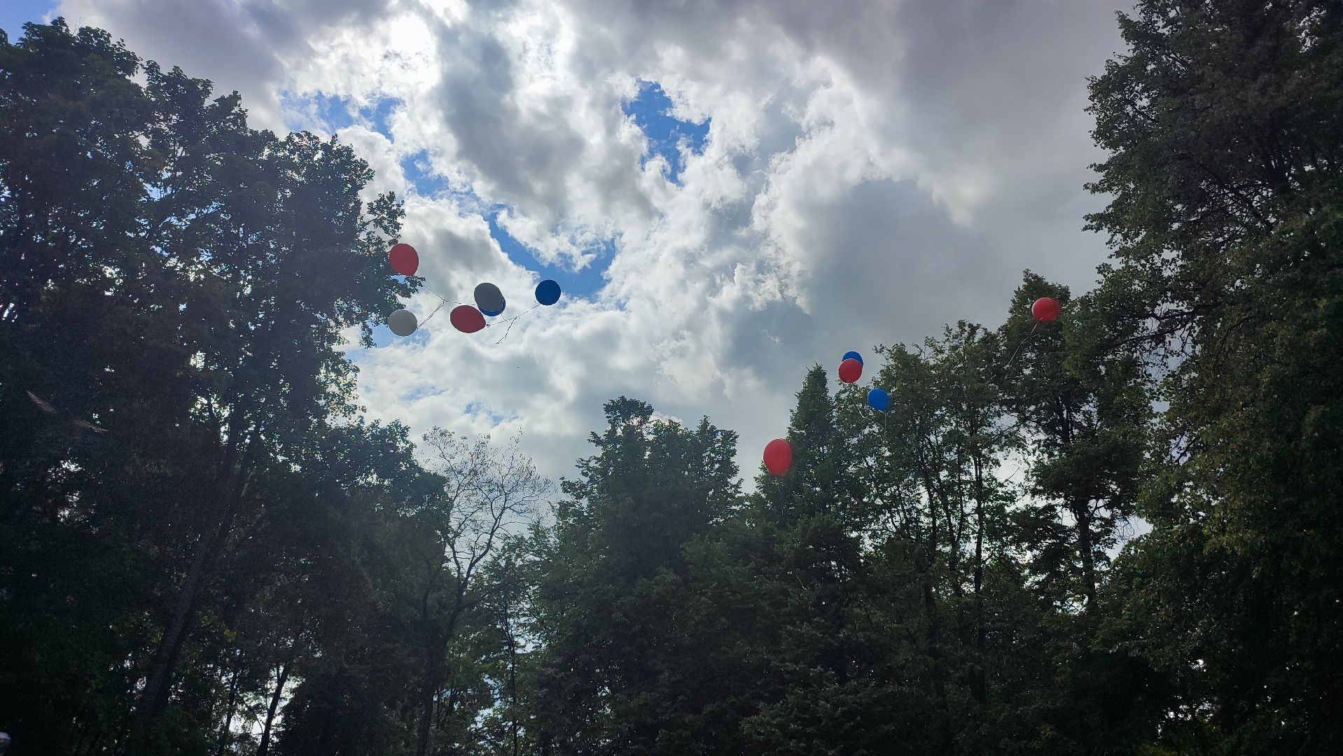 Кашира, Ожерелье, колледж, велопробег