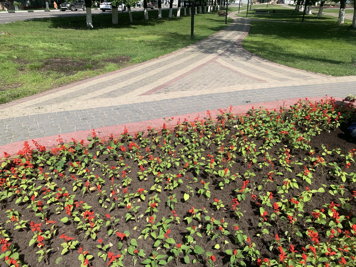 Балашиха, Подмосковье, благоустройство, цветы, скверы