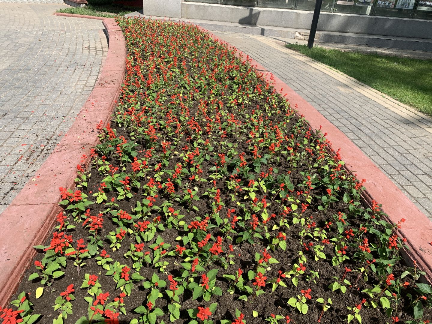 Балашиха, Подмосковье, благоустройство, цветы, скверы