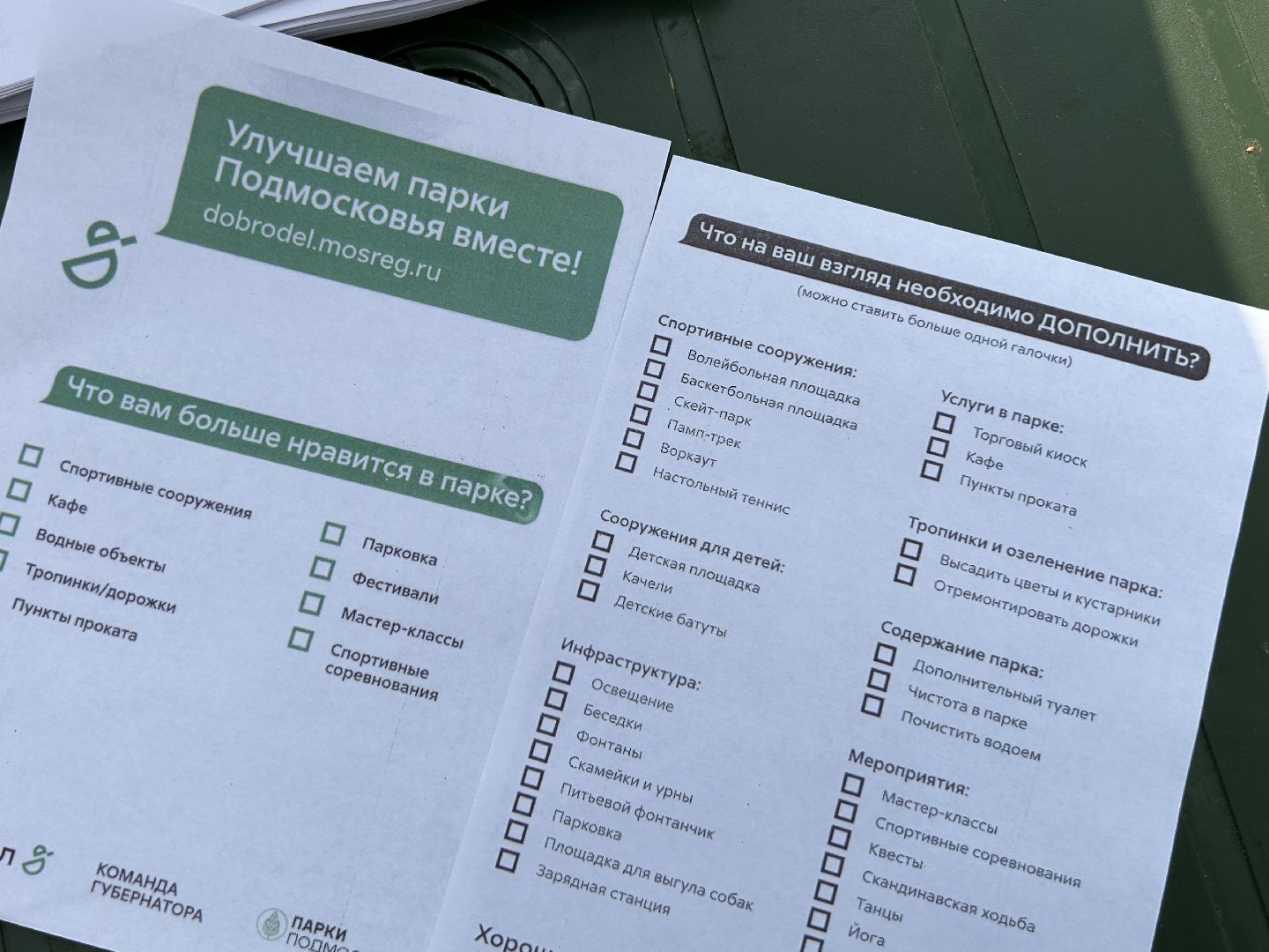 Благоустройство, голосование, Фрязино