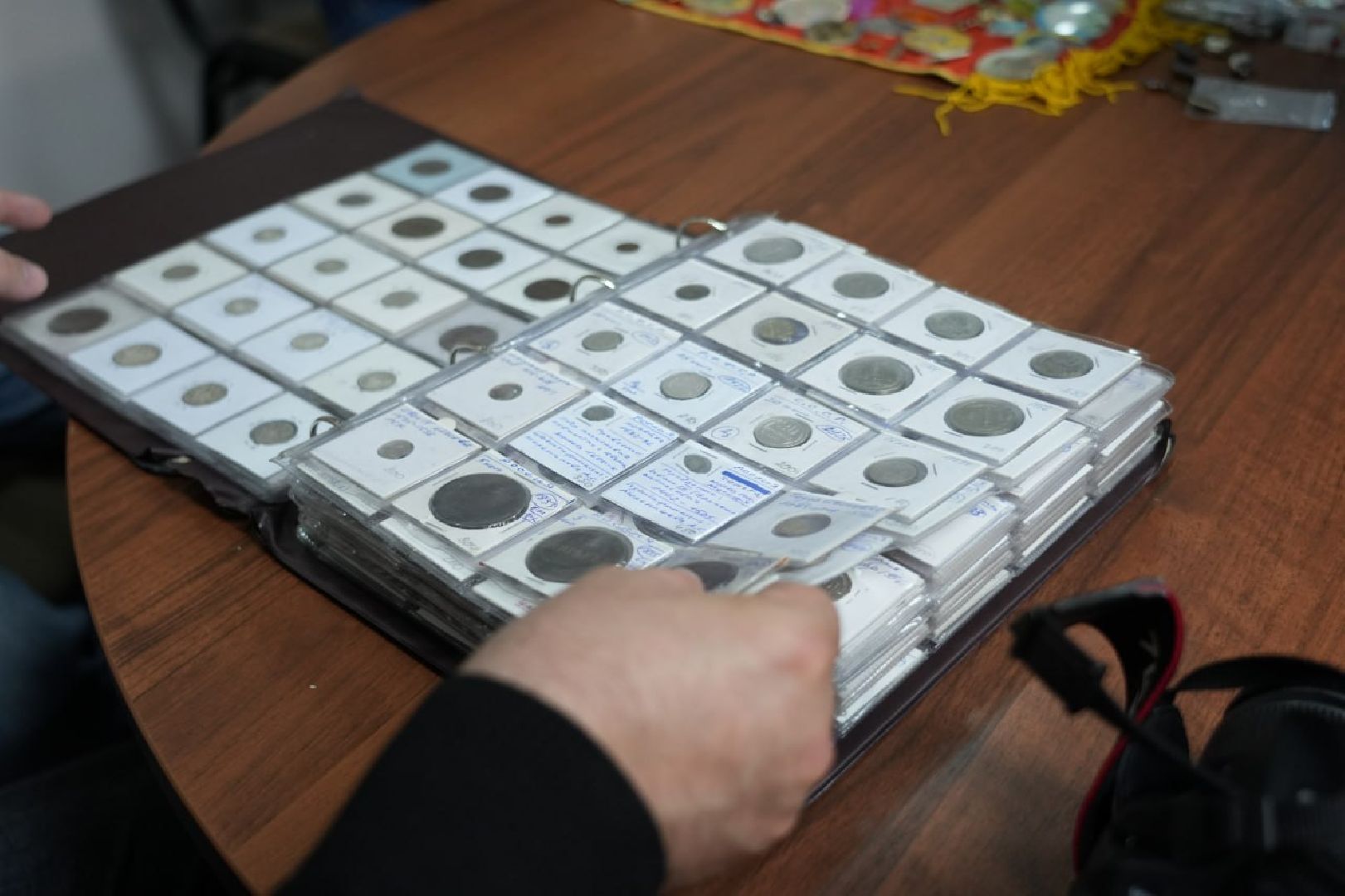 Сергиево-Посадский городской округ, Сергиев Посад, Коллекционеры, Хобби, Нумизматы