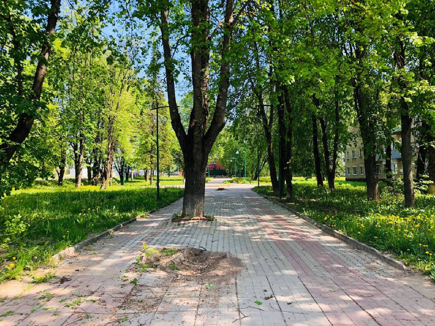 руза, благоустройство, парки, жители, горсреда