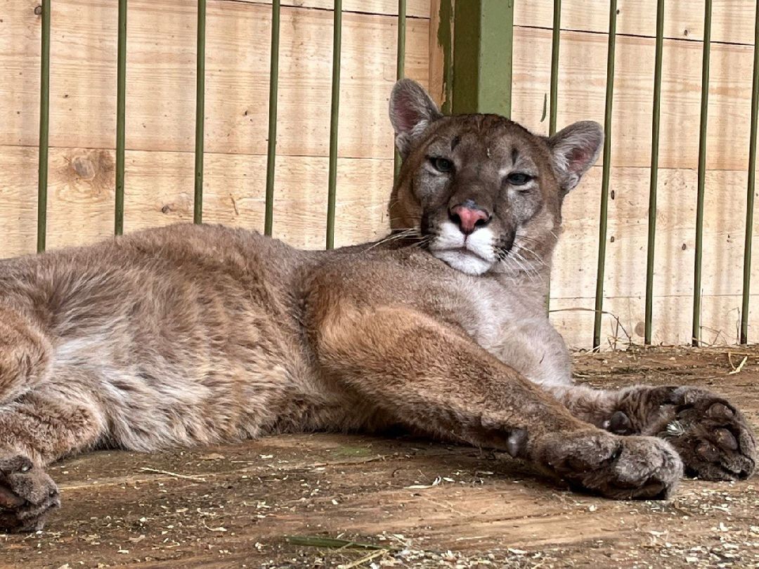 Клин, города