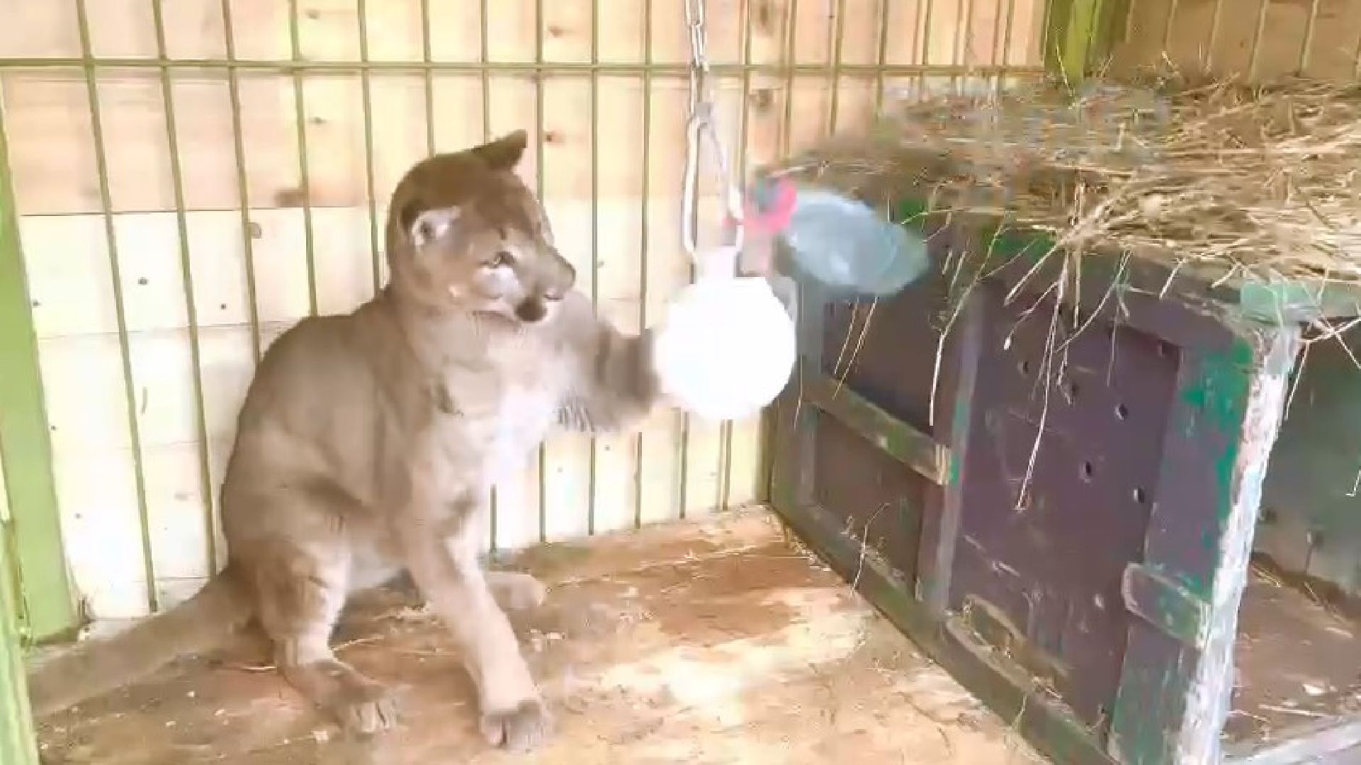 Клин, города