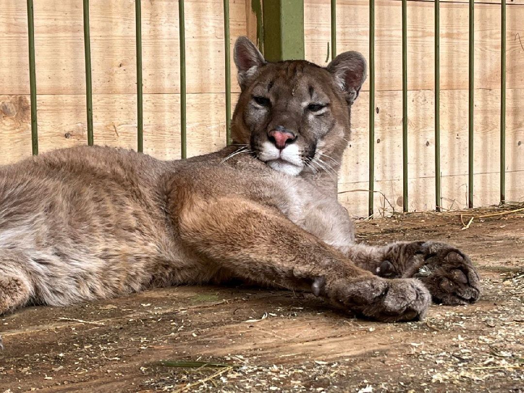 Клин, города