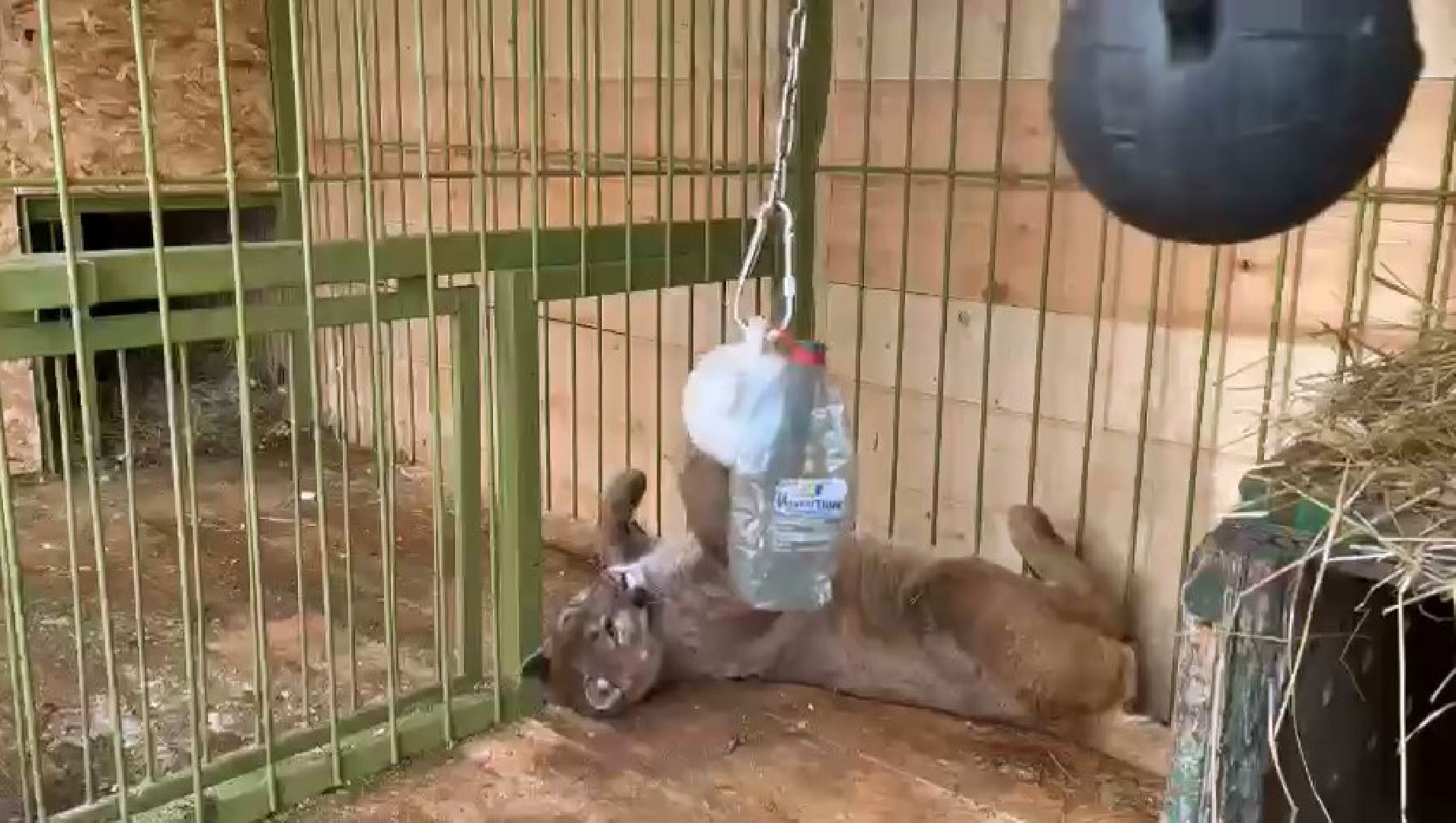 Клин, города