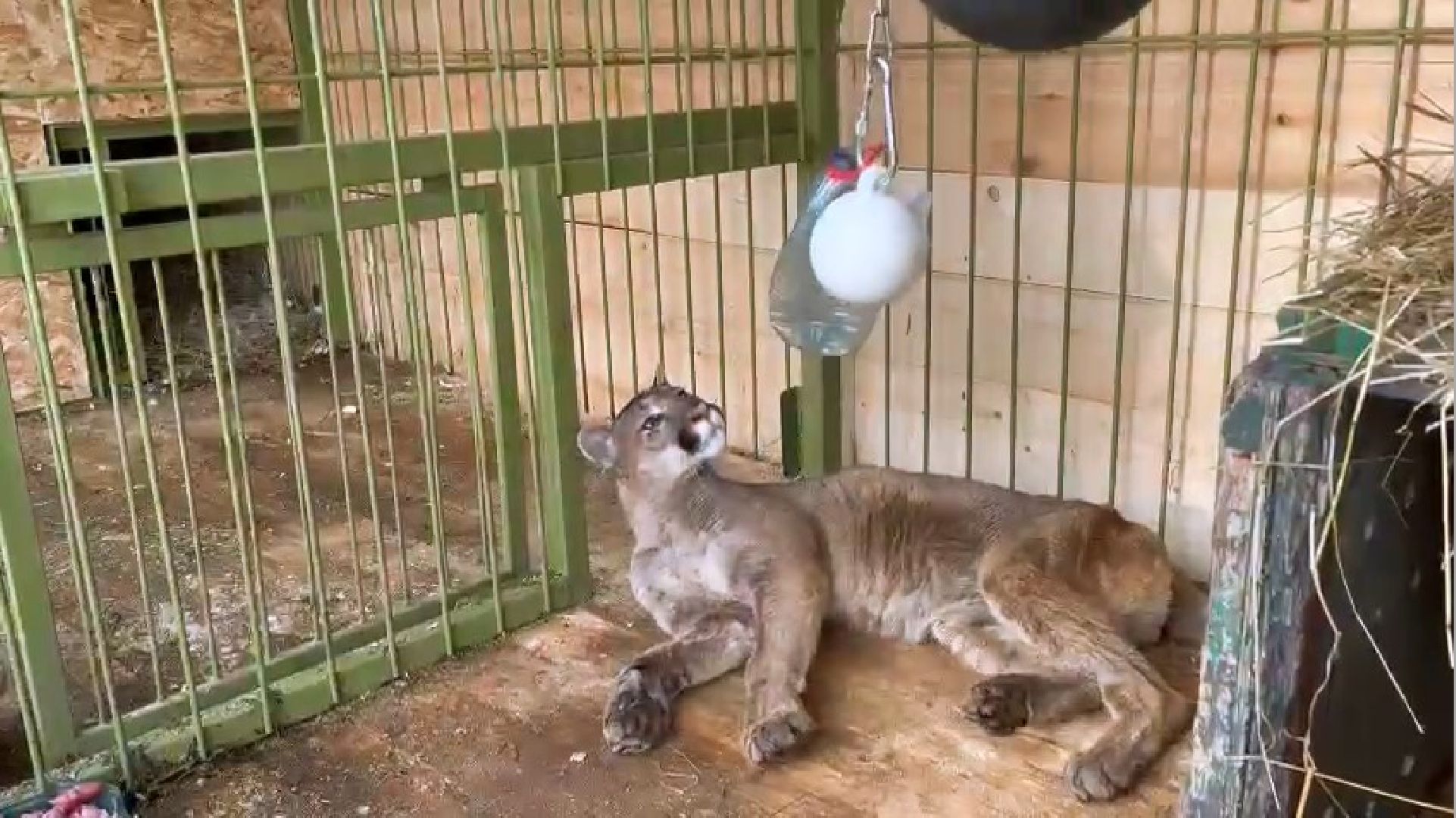 Клин, города