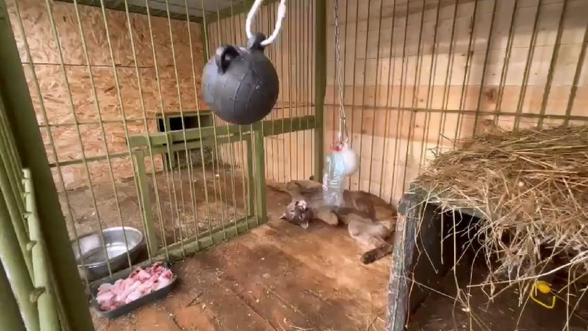 Клин, города