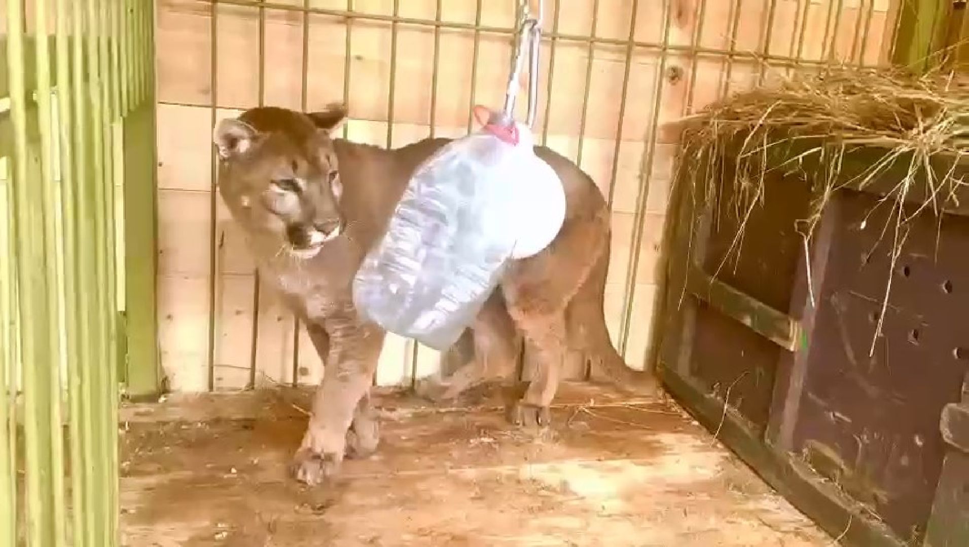 Клин, города