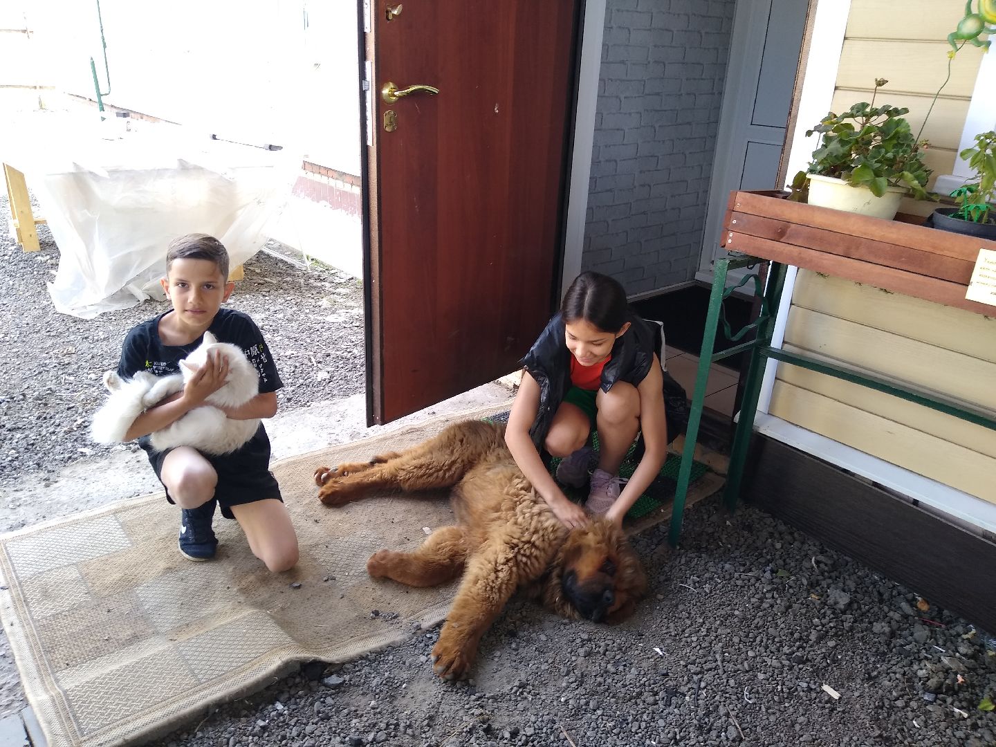 Раменское, общество, многодетная семья приобрела новое жильё за счёт государственной поддержки