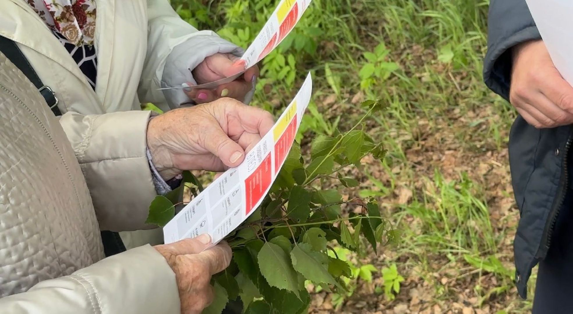 Солнечногорск, спасатели, рейд, пожары, профилактика